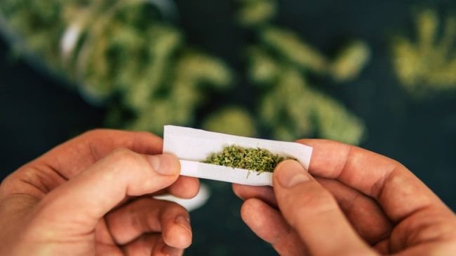 rolling a joint